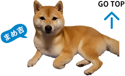 GO TOP